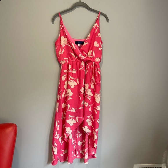 Blue Rain Pink and White Floral Dress - Picture 3 of 5